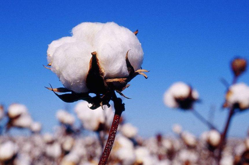 現(xiàn)已進(jìn)入高質(zhì)量發(fā)展階段的尼龍PA6行業(yè)